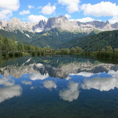 亚傅app官网截图